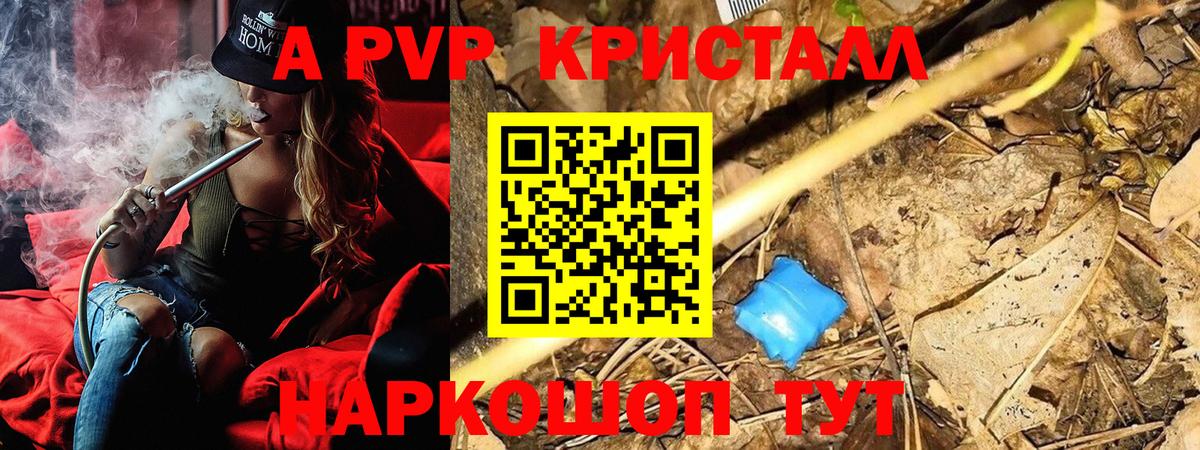 Альфа ПВП СК Кандалакша