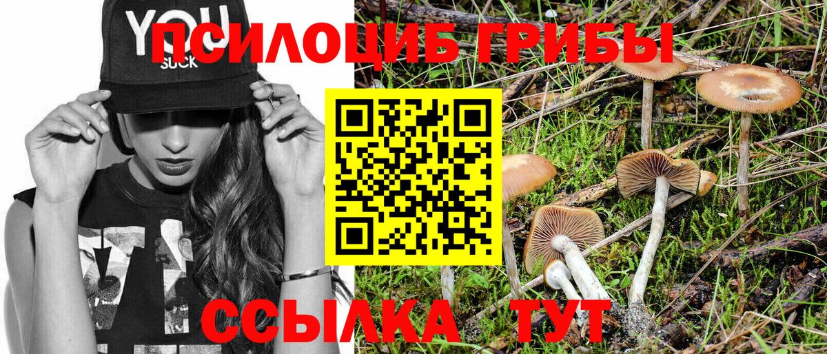 Псилоцибиновые грибы ЛСД  Псилоцибиновые грибы прущие грибы  как найти   Кандалакша  Вход с VPN 