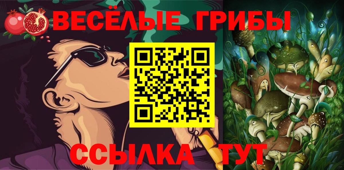 Псилоцибиновые грибы мицелий Кандалакша